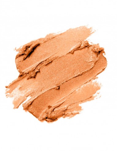 Camaleon Pintalabios Basic ColourStick Metallic...