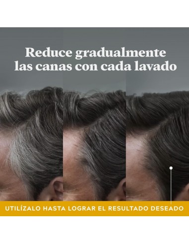 Just For Men Control GX 2 en 1 Champú y...