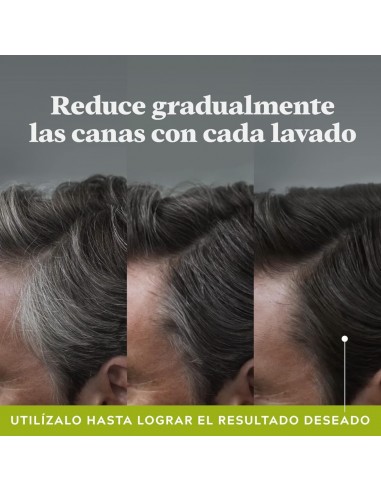 Just For Men Control GX Champú Reductor de...