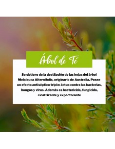 Saluvital Champú y Gel de Árbol de Té 300 ml 2