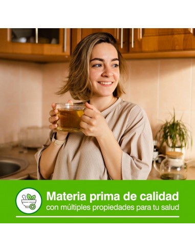 SoriaNatural Regamint Infusión...
