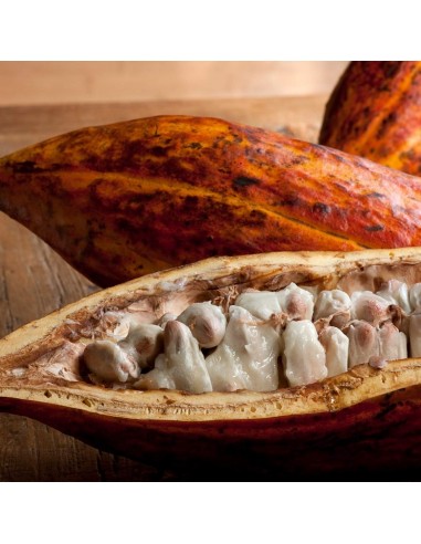 Weleda Skin Food Body Butter Bálsamo Corporal...