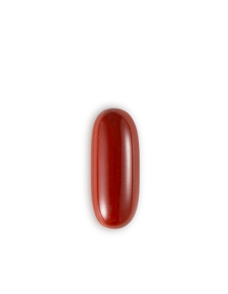 Iraltone Aga Plus Pack (60+30) 90 Cápsulas