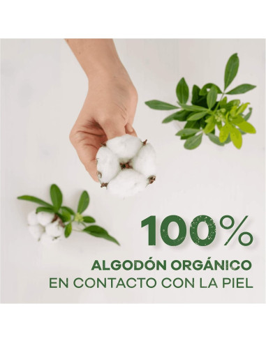 Ausonia Compresa Noche con Alas 100% Algodón...