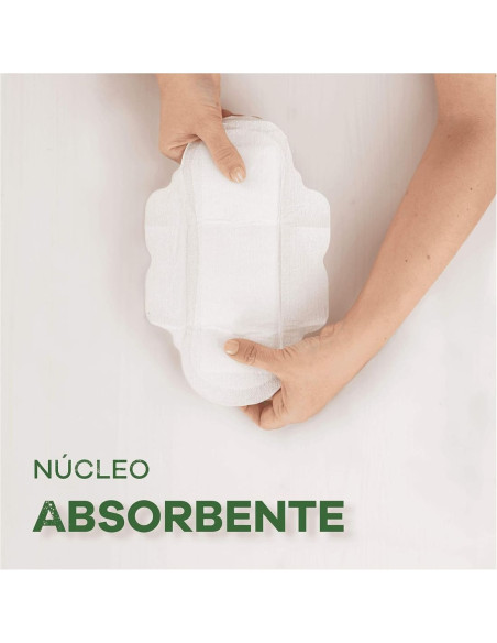 Ausonia Compresa Normal con Alas 100% Algodón Orgánico 12 unidades