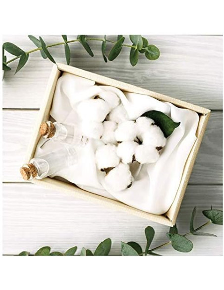 Ausonia Compresa Normal con Alas 100% Algodón Orgánico 12 unidades