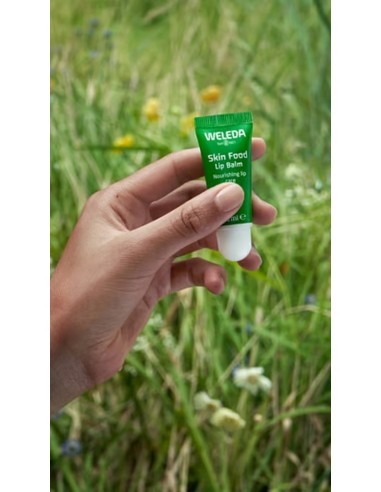 Weleda Skin Food Bálsamo Labial Caléndula 8 ml